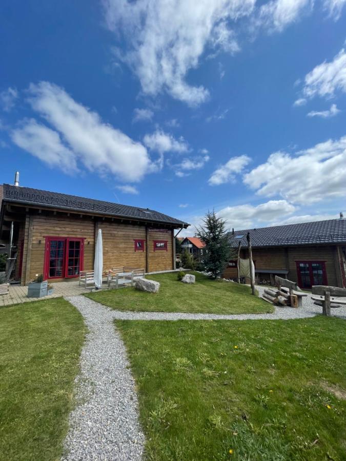 Blockhaus An Der Skiwiese Браунлаге Экстерьер фото