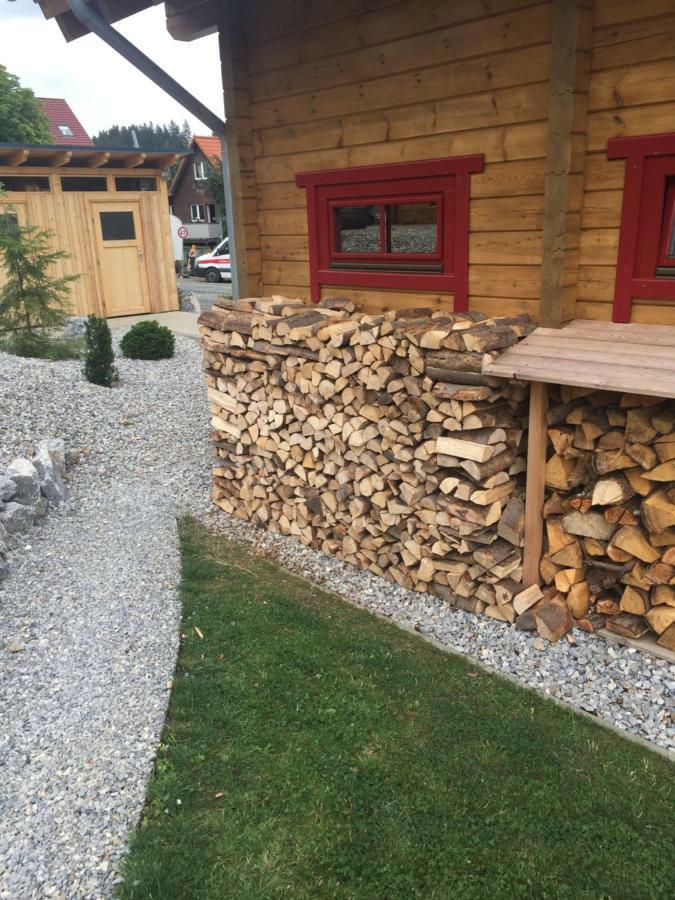 Blockhaus An Der Skiwiese Браунлаге Экстерьер фото