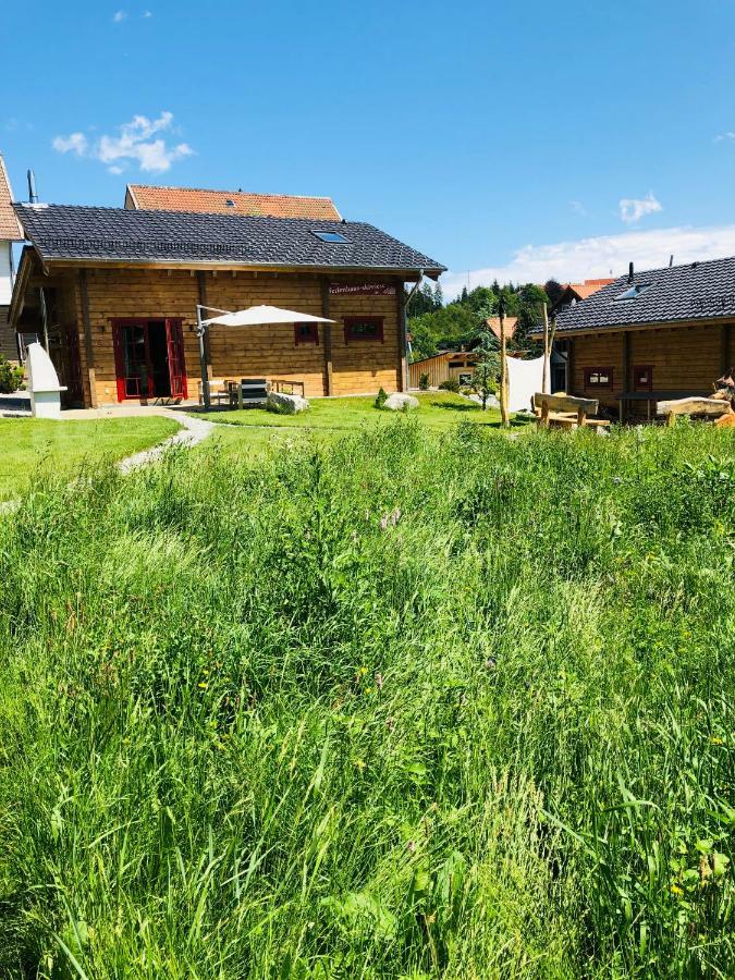 Blockhaus An Der Skiwiese Браунлаге Экстерьер фото